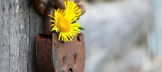 6 choses qu’un serrurier peut faire 6 choses qu’un serrurier peut faire