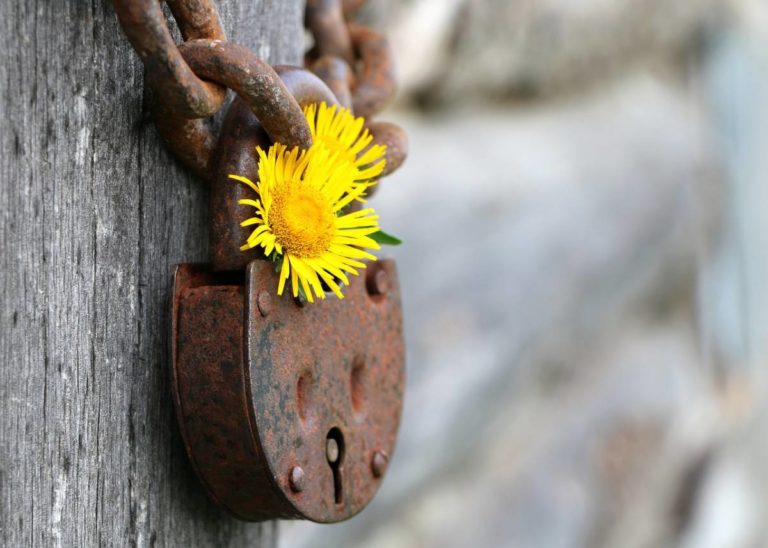 6 choses qu&rsquo;un serrurier peut faire