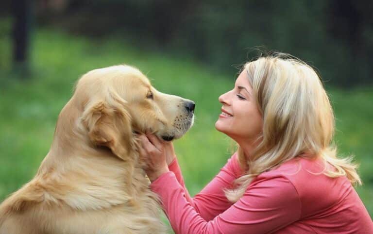La solution idéale pour prendre soin de votre animal dès maintenant : découvrez les mutuelles animales sans délai de carence !